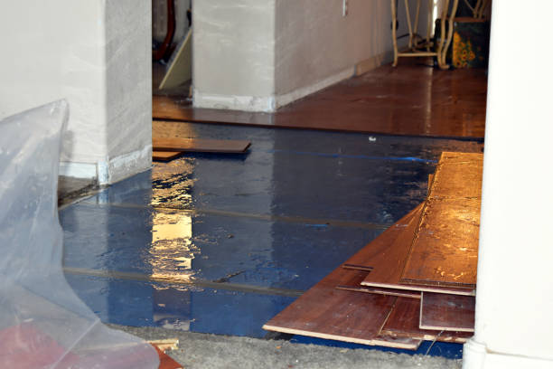Professional Basement Flooding technician working in Raymond, WA
